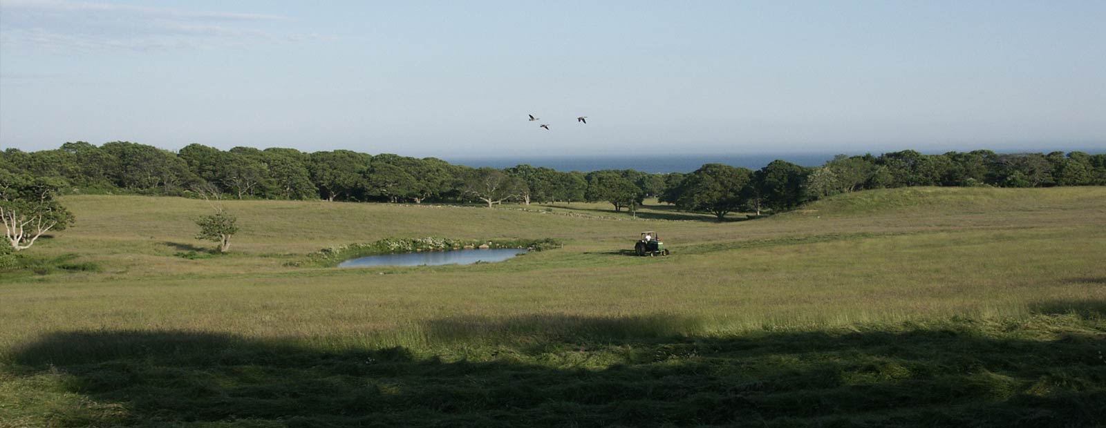 Bucolic rural vistas ...